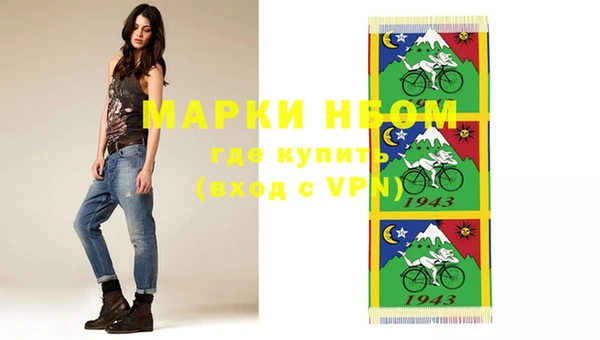прущие грибы Новодвинск