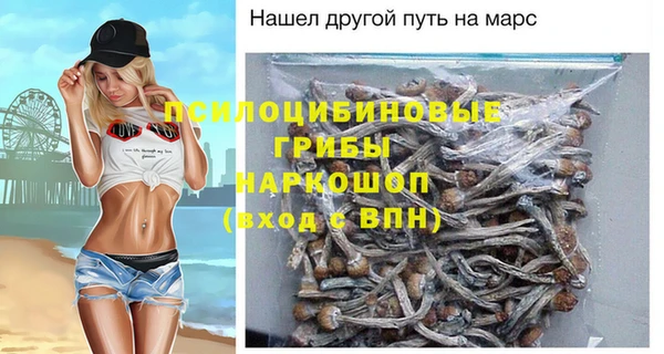 ешки Володарск