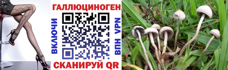 площадка официальный сайт  Ковров  Галлюциногенные грибы Cubensis 